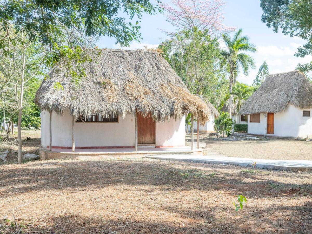 Hotel Villas Del Angel San Jose  外观 照片